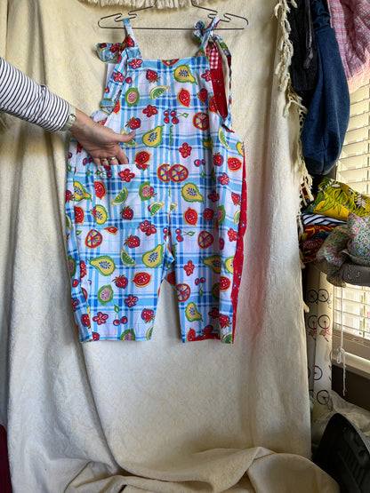 “Picnic” Dungaree Shorts- Medium