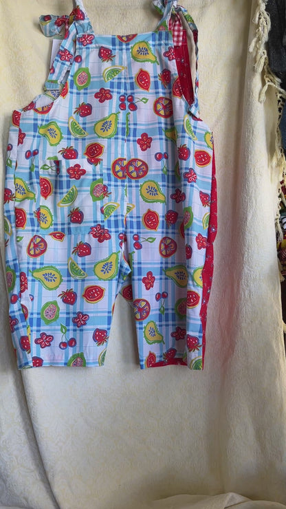 “Picnic” Dungaree Shorts- Medium